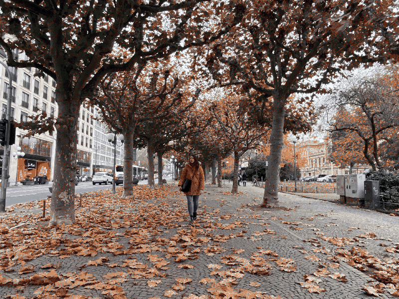 img21